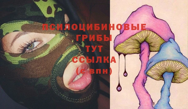 спайс Аркадак