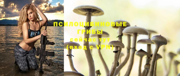 Альфа ПВП Арсеньев